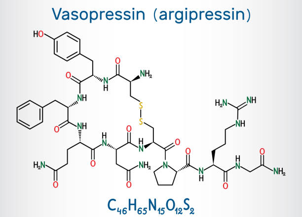 wazopresyna, arginina wazopresyny avp lub cząsteczki argipresyny. jest to hormon antydiuretyczny adh syntetyzowany jako prohormon peptydowy w neuronach w podwzgórzu. strukturalna formuła chemiczna - molecule amino acid arginine molecular structure stock illustrations