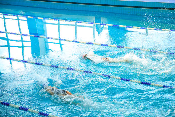istock Swimmers compete for speed among themselves in the pool 1192533929