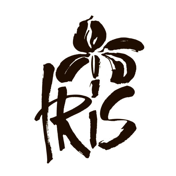 symbol kwiatu wektora. kwiatowe tło. atrament kaligrafii. stylizowana kaligraficzna przysłona atramentu. - iris ink and brush sign flower stock illustrations
