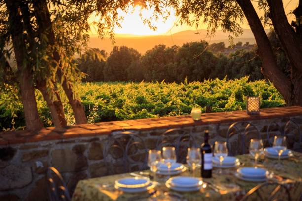 istock Outdoor table with vineyard background in italy 1192539067