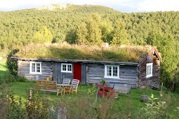 Summer pasture cottage  sod roof stock pictures, royalty-free photos & images