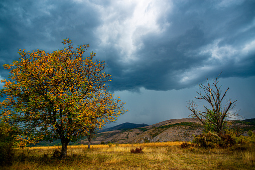 Dramatic clouds above the plateau and woods, Serbia