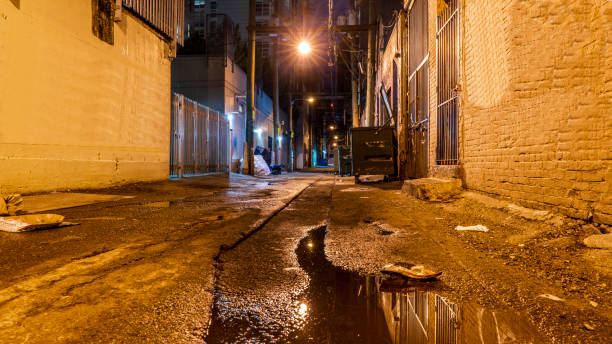 밴쿠버, 브리티시 컬럼비아, 캐나다에서 밤에 어둡고 무서운 빈티지 자갈 벽돌 도시 골목. - camel back 뉴스 사진 이미지