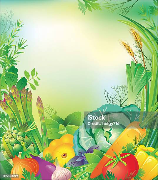 Rahmen Von Gemüse Und Kräutern Stock Vektor Art und mehr Bilder von Aubergine - Aubergine, Brokkoli, Chenopodiacea