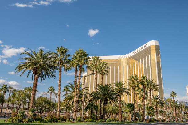 mandalay bay hotel and casino en la franja de las vegas boulevard. - las vegas metropolitan area hotel built structure tourist resort fotografías e imágenes de stock