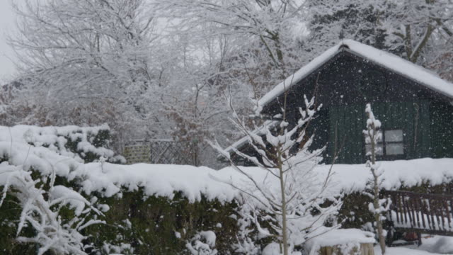 SLOW MOTION: First snow of the winter transforms backyard into winter wonderland