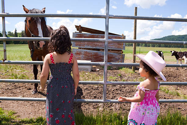 Beautiful horses in the paddock at Kings Plains, Blayney in the Central West, New South Wales, Australia.