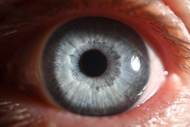 blue eye male human super macro closeup - eyes narrowed imagens e fotografias de stock