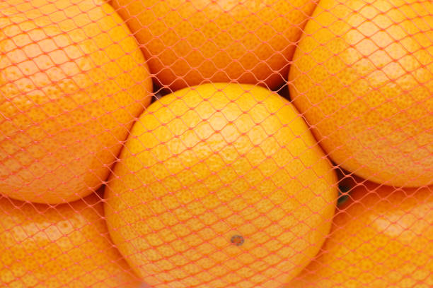istock Japanese orange mikan fruit 1192580520
