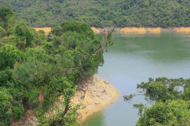 istock Tai Lam Chung Reservoir 10 april 2009 1192585303