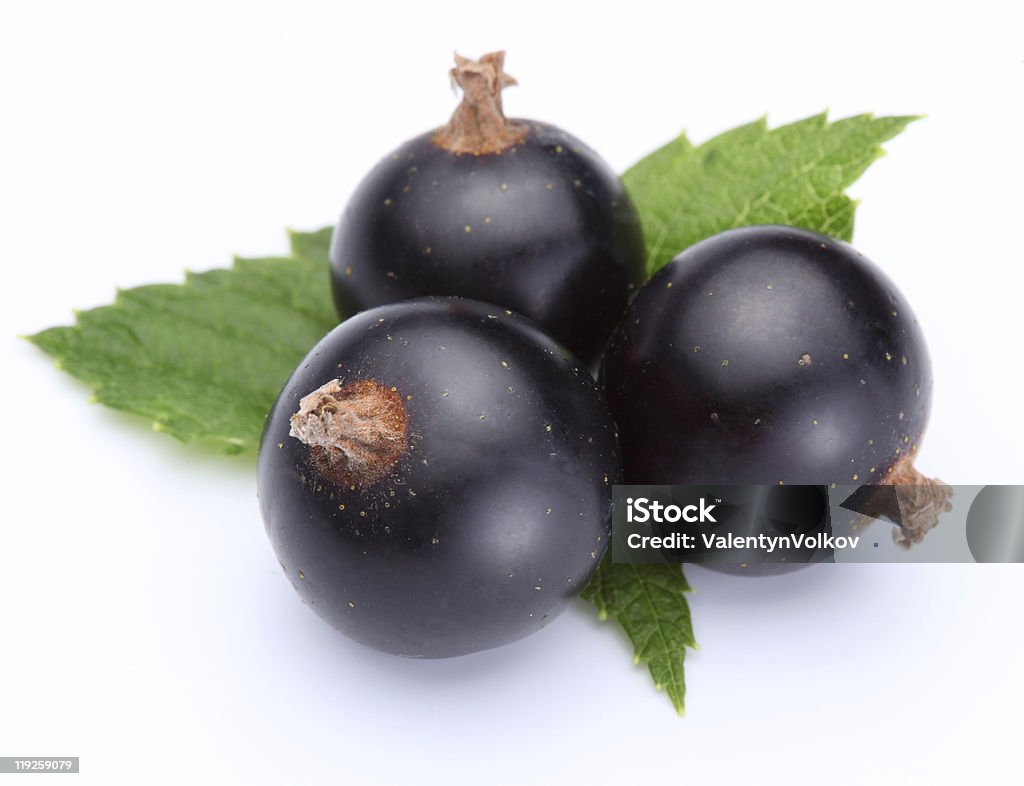 Ribes nero. - Foto stock royalty-free di Alimentazione sana