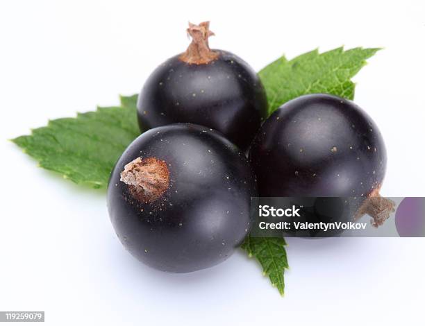 Ribes Nero - Fotografie stock e altre immagini di Alimentazione sana - Alimentazione sana, Bianco, Colore descrittivo