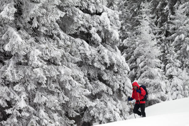 istock Hiker go on slope with new-fallen snow in snow-covered forest 1192594815
