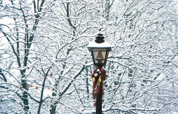 istock Christmas street light 1192595857
