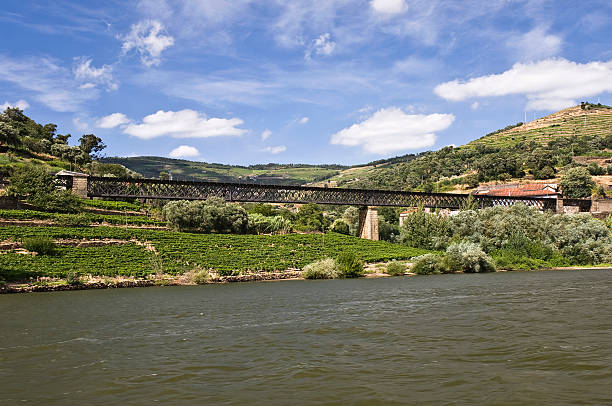 istock Bridges of the Douro River 119260099