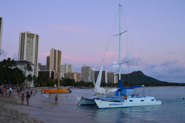 A catamaran at the water's edge on Waikiki Beach Honolulu, HI, USA July 31, 2014 A catamaran is moored on the sands of Waikiki Beach, near Honolulu, Hawaii, at sunset catamaran night stock pictures, royalty-free photos & images