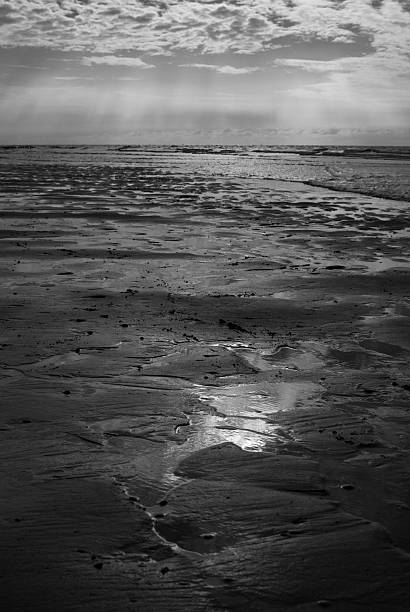 istock Dutch northsea-coast at low tide 119260290