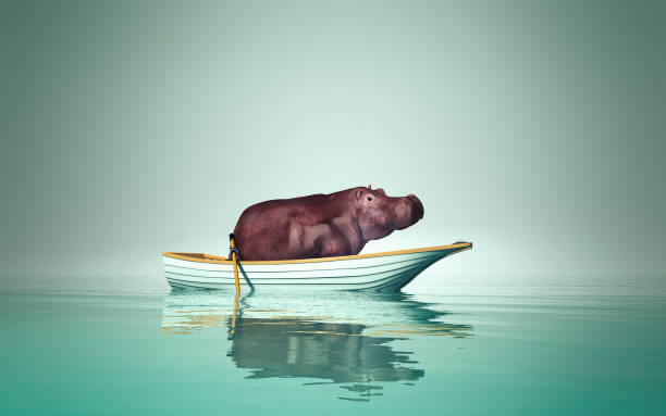 istock hippopotamus sitting in a boat . This is a 3d render illustration. 1192609692