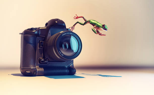 Close-Up Of Camera On Flooring