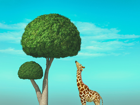Giraffe looks up to a tree. This is a 3d render illustration.