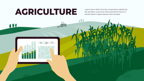Agriculture and analysis data by tablet Illustration of agriculture with control by tablet. Smart farming and innovation technology. Analysis data, chart and graph on device. Landscape with cornfield and tractor. Template for web, flyer, ad precision agriculture stock illustrations