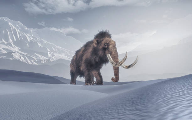 Mammoth in the middle of mountains . This is a 3d render illustration stock photo