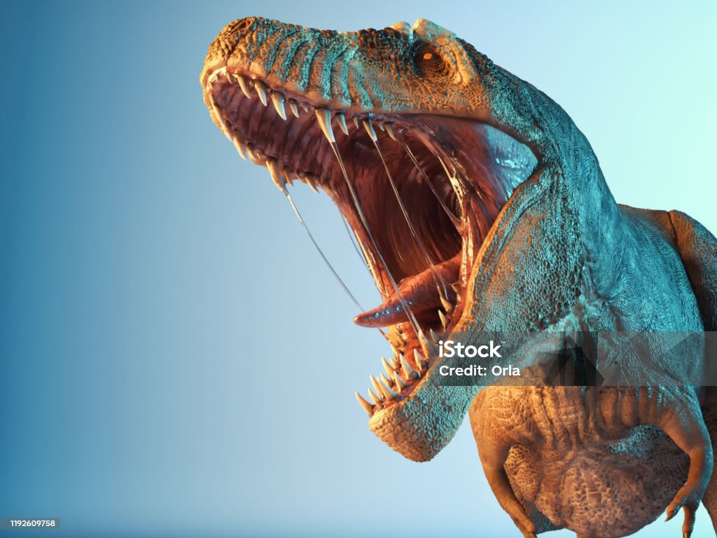 T Rex Rugido De Cerca En El Estudio Esta Es Una Ilustración De  Renderización 3d Foto de stock y más banco de imágenes de Dinosaurio -  iStock