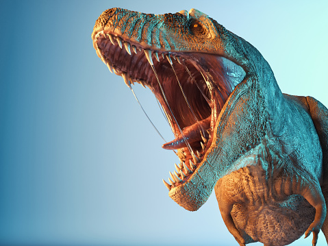 T rex close up roar in the studio. This is a 3d render illustration.