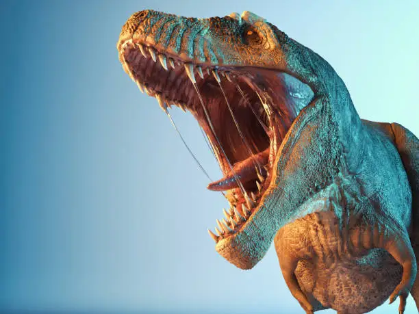 Photo of T rex close up roar in the studio. This is a 3d render illustration.
