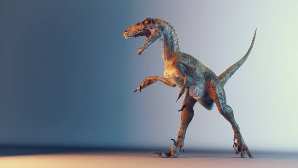 istock Deinonychus posing in the studio. This is a 3d render illustration. 1192609772