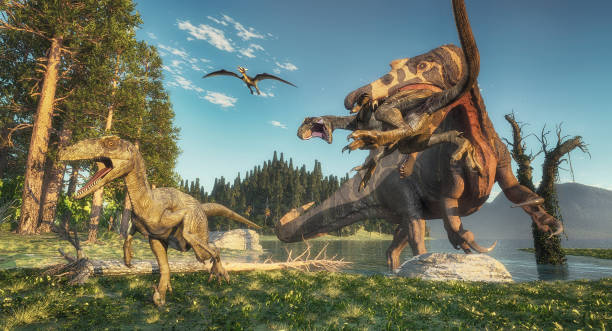 istock Spinosaurus attacks deinonychus in the jungle. This is a 3d render illustration. 1192609804