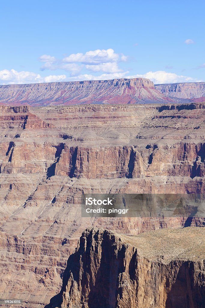 Grand Canyon en Arizona - Photo de Arbre libre de droits