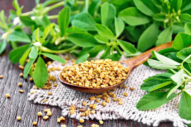 istock Fenugreek in spoon with leaves on dark board 1192610694