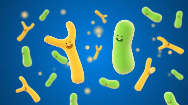 Cartoon shape bifidobacteria Cartoon shape bifidobacteria bifidobacterium stock pictures, royalty-free photos & images