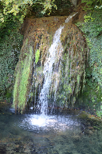 A small waterfall in a northwestern Switzerland forest.