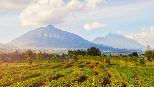 istock Virunga Mountains and Volcanoes in Rwanda 1192620539