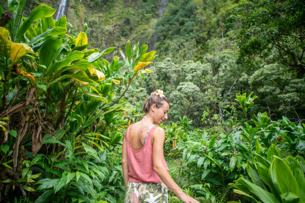 istock Young woman walking in tropical rainforest exploring nature 1192621897
