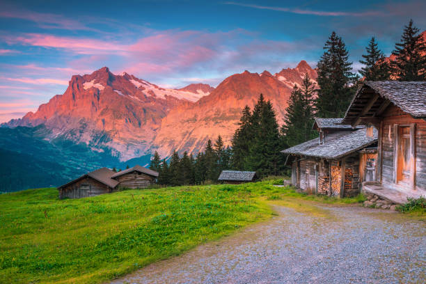 Wonderful summer alpine location with wooden huts and mountains, Switzerland Spectacular summer alpine countryside with old chalets and snowy mountains in background, Grindelwald, Bernese Oberland, Switzerland, Europe grindelwald photos stock pictures, royalty-free photos & images