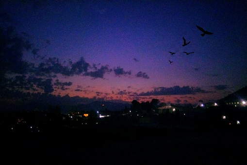 A Red And Blue Color Sky Picture Clicked While Sun Is Setting Down. The Birds Are Flying In the sky.