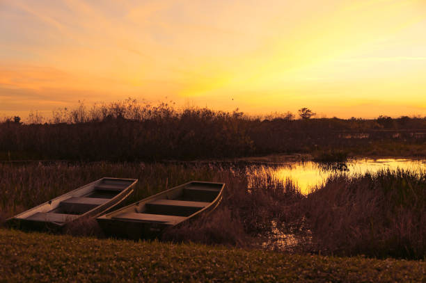 istock row boats on the riverbank 1192625968