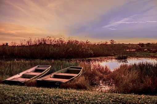 row boats on the riverbank