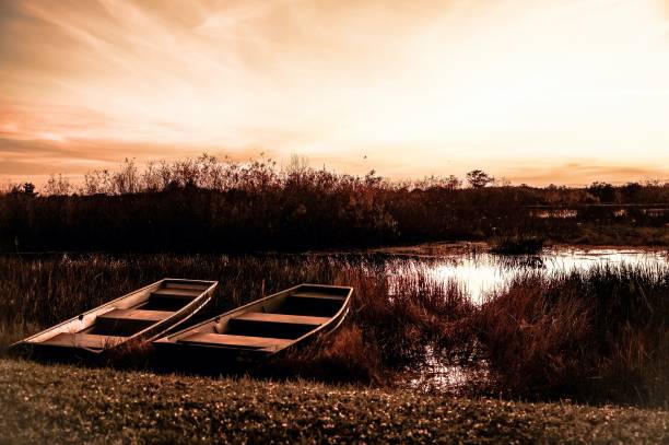 istock row boats on the riverbank 1192626026
