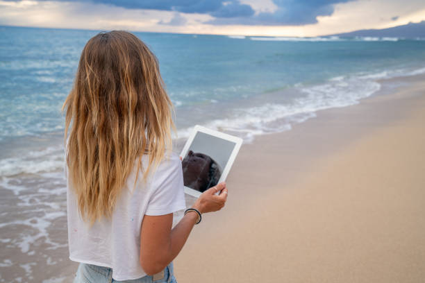 istock Woman using digital tablet while walking on the beach at sunset 1192627001