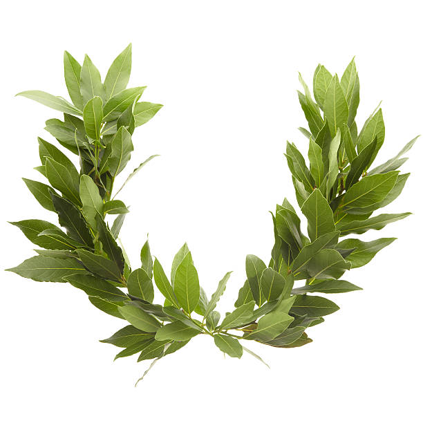 laurel wreath  crown headwear photos stock pictures, royalty-free photos & images