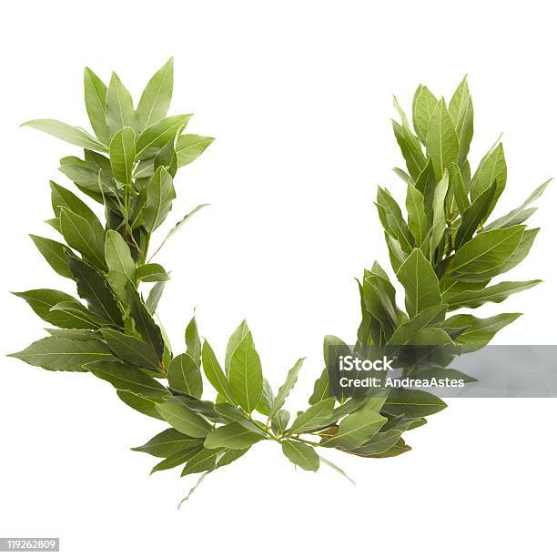 Laurel Wreath Stock Photo - Download Image Now - Laurel Wreath, Bay Leaf, Bay Tree