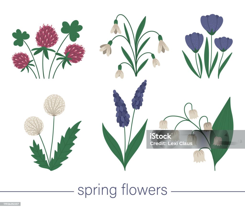 Ilustración de Conjunto Vectorial De Lindas Flores Planas De Primavera Primera Ilustración De Plantas En Flor Colección De Imágenes Prediseñadas Florales Aislada Sobre Fondo Blanco y más Vectores Libres de Derechos de Ilustración de Conjunto Vectorial De Lindas Flores Planas De Primavera Primera Ilustración De Plantas En Flor Colección De Imágenes Prediseñadas Florales Aislada Sobre Fondo Blanco y más Vectores Libres de Derechos de
