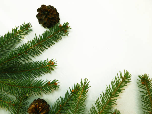 istock Christmas tree on a white background. new Year gifts. Flat lay, top view, copy space 1192635968