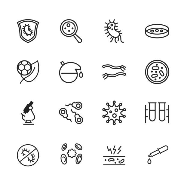 Microbiology icon Microbiology icon. Set of line icon on white background. Laboratory equipment, cell, bacterium. Exploration concept. Vector illustration can be used for topics like biology, science, research laboratory bacterium petri dish cell stock illustrations