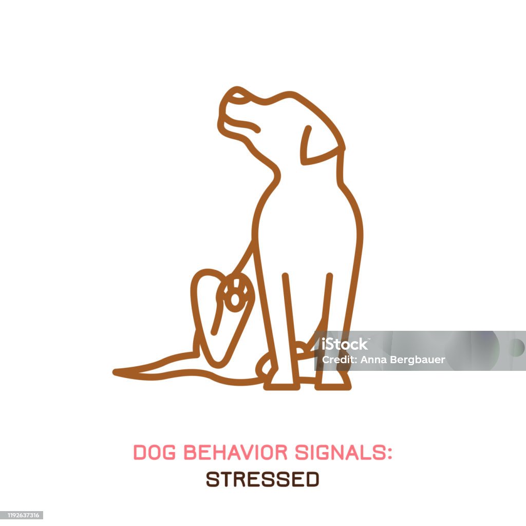 Dog Behavior Icon Stock Illustration - Download Image Now - Dog,  Scratching, Outline - iStock