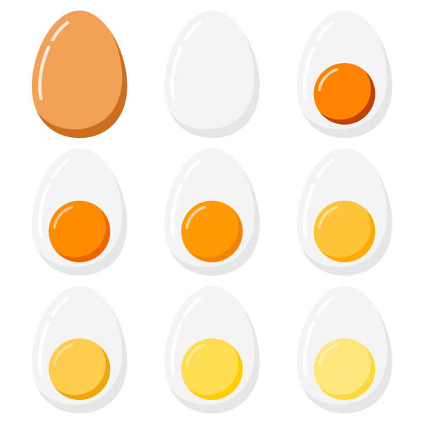 illustrazioni stock, clip art, cartoni animati e icone di tendenza di uova sode isolate su sfondo bianco. - hard cooked egg